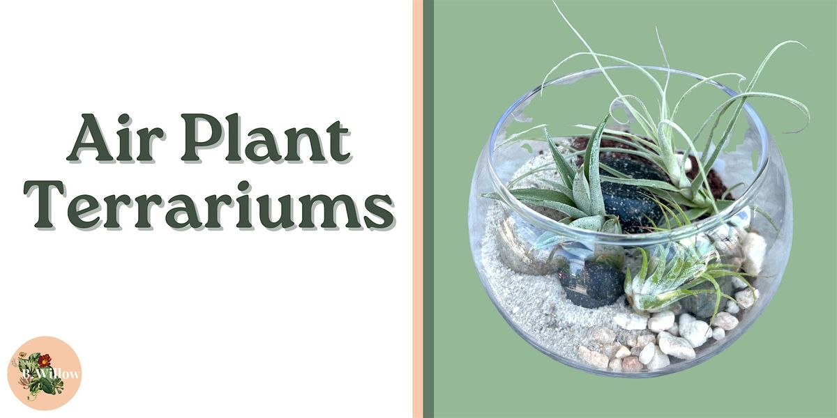 Air Plant Terrarium Workshop