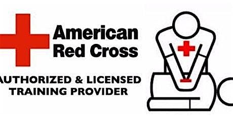 Adult & Pediatric FA\/CPR\/AED Skill Session