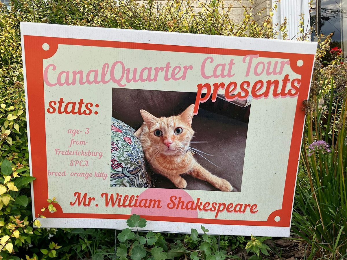Fredericksburg's Cat Tour & Coffee in the Canal Quarter