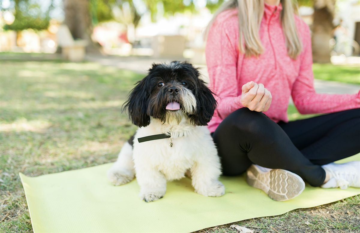 Yoga with Pets: Wellness, Walks & Adoptions