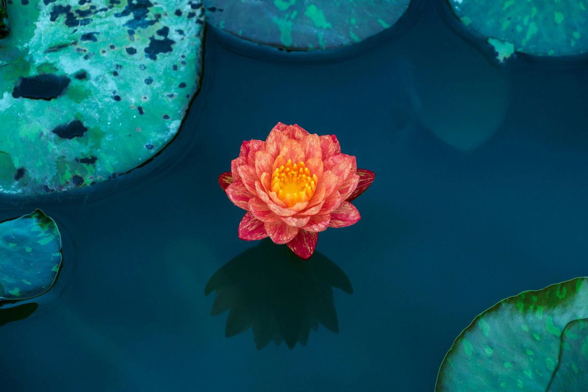 Rise and Reflect: A Day Retreat for Women of Color