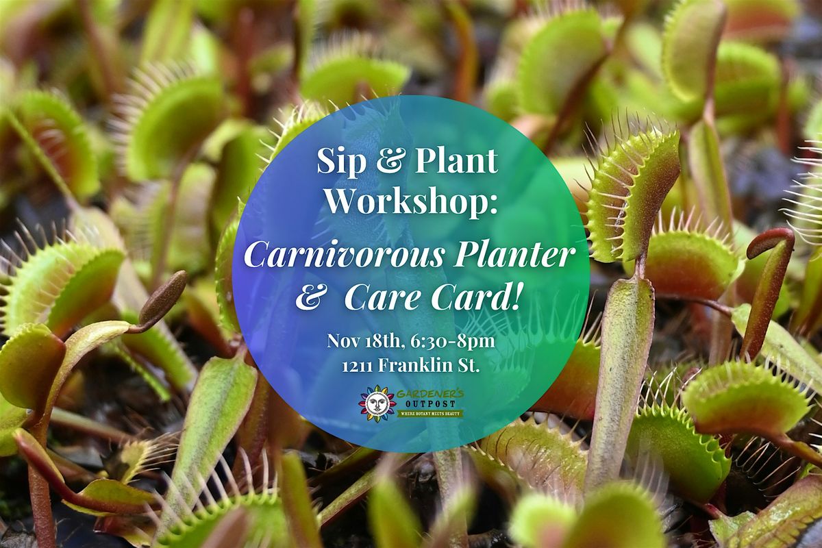 Sip & Plant Workshop: Carnivorous Planter & Care Card!