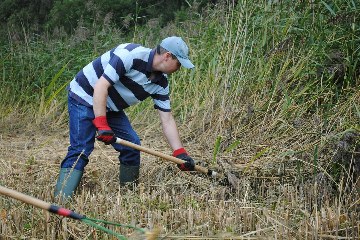 NWT Sweet Briar Marshes: Practical conservation task (19 December)