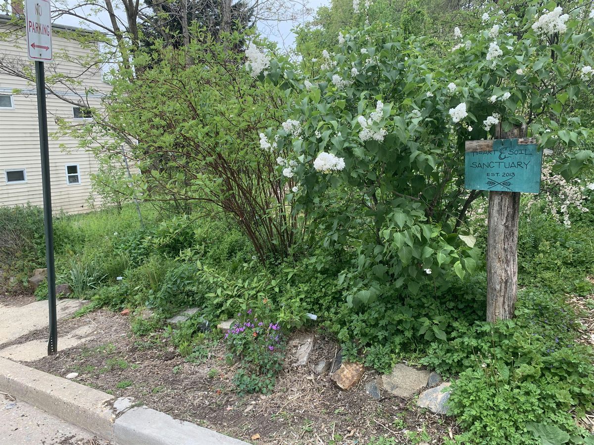 Heart + Soil Sanctuary Volunteer Day
