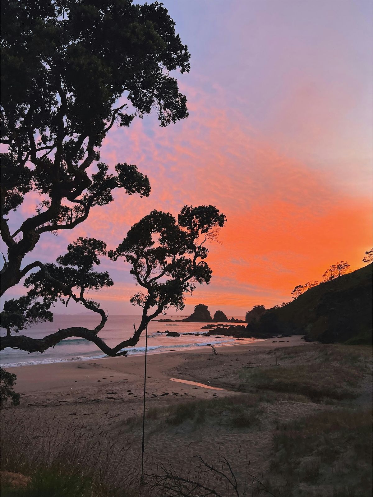 Holiday\/Work Visa in New Zealand  & Australia: An Info Session