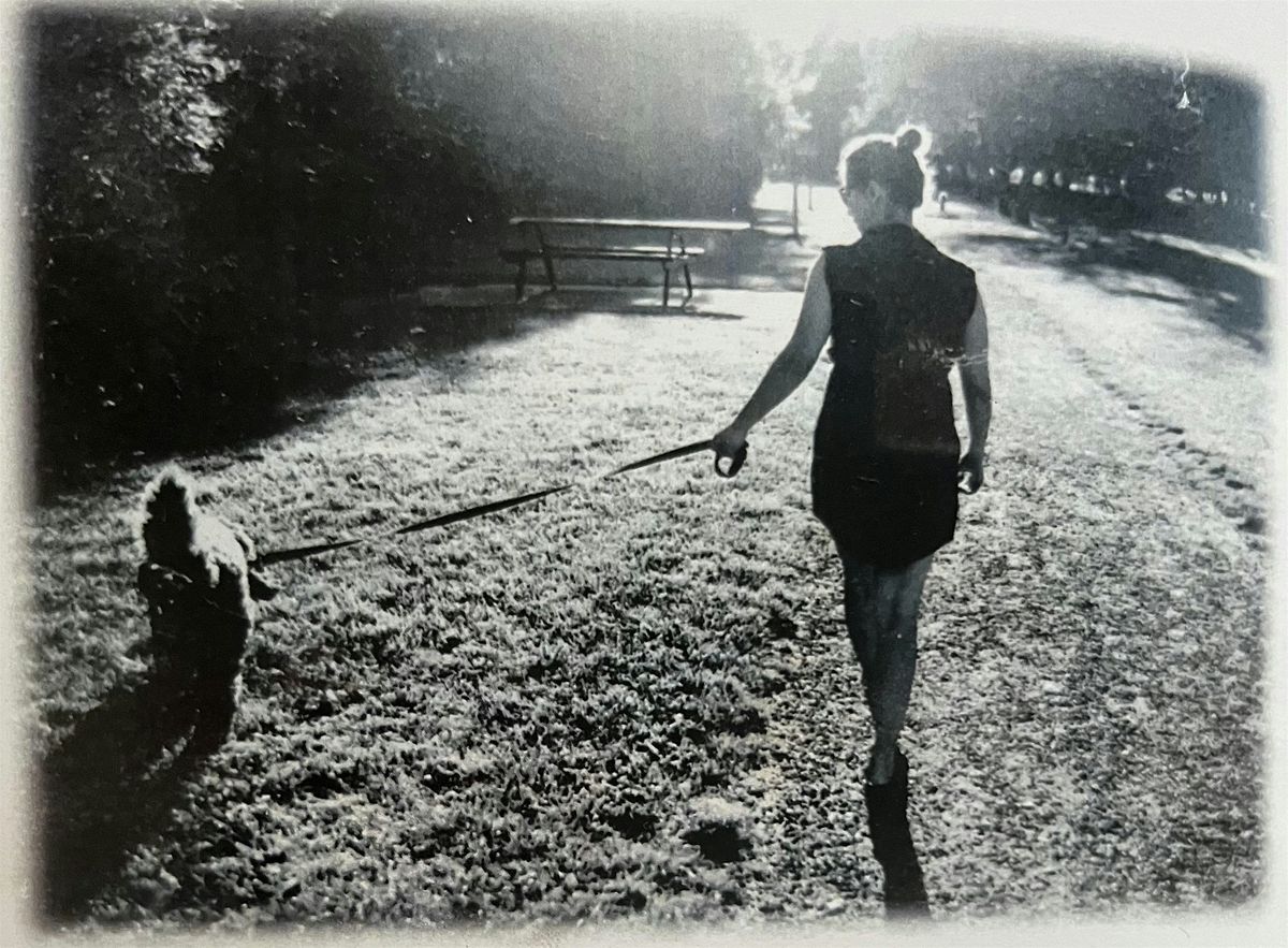 Honouring Dr. Sudeh Cheraghi-Sohi: Tribute Seminar and Celebration