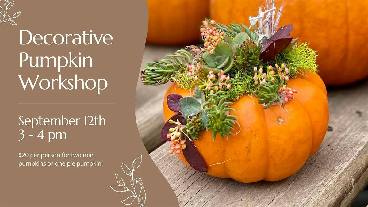 Decorative Pumpkin Workshop (3 of 4)
