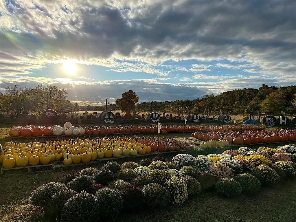 Yoga in the Pumpkin Patch at Sugartown Strawberries Farm