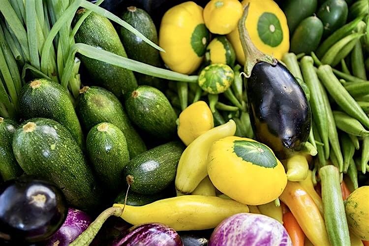 Foundations of a Healthy Garden