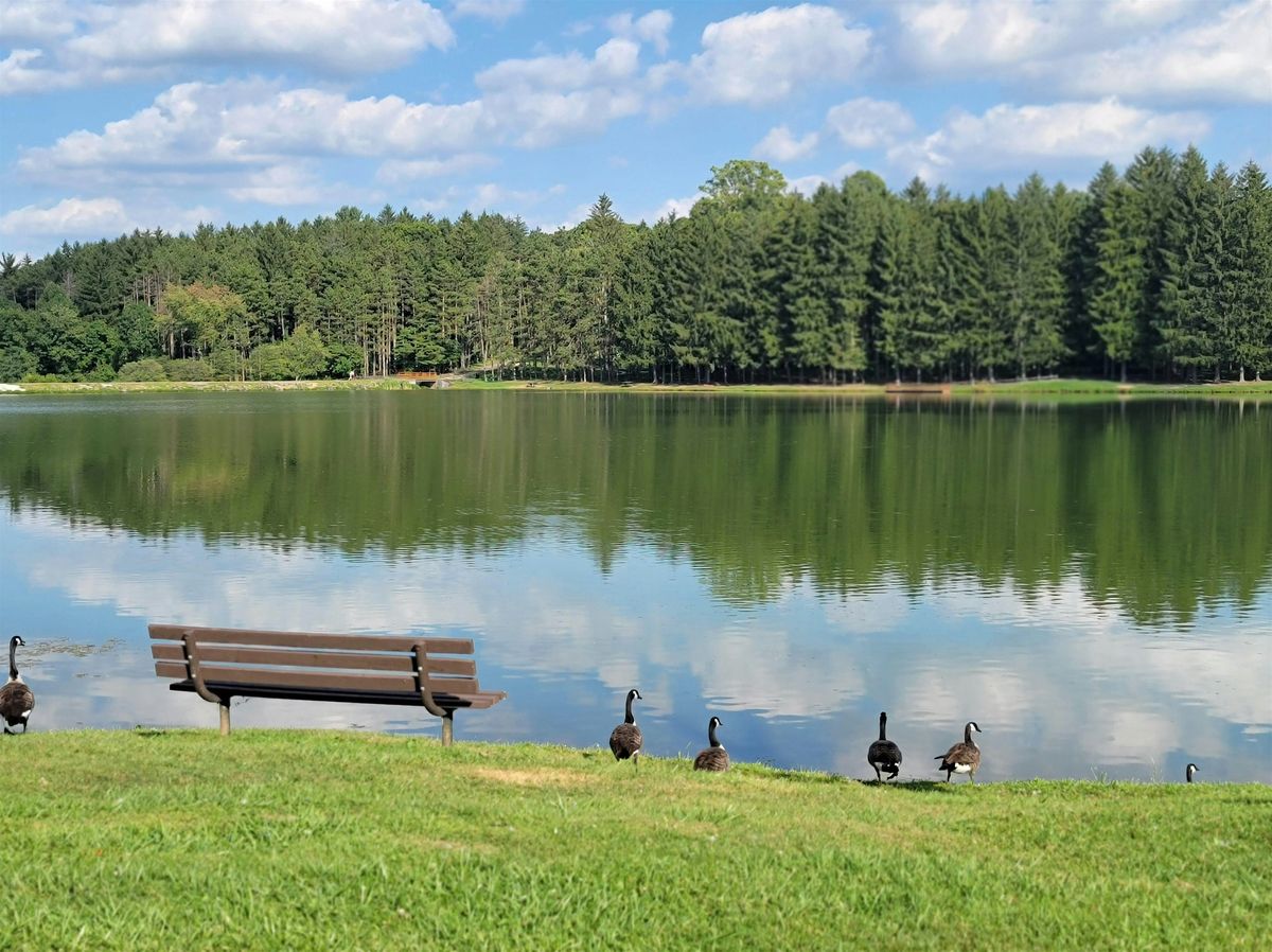 An Epic Scavenger Hunt! - Latrobe Locomotion Loot Hunt