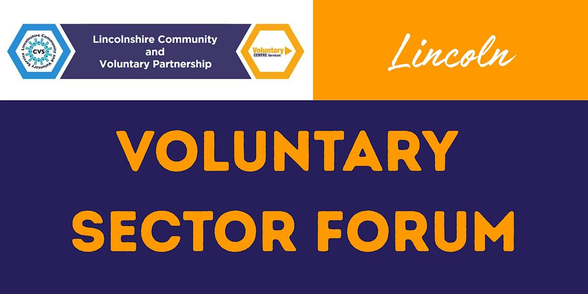Lincoln Voluntary Sector Forum - January 2026