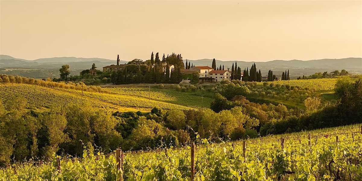 Uncorked: A Tour of Tuscany (Restaurant Edition)