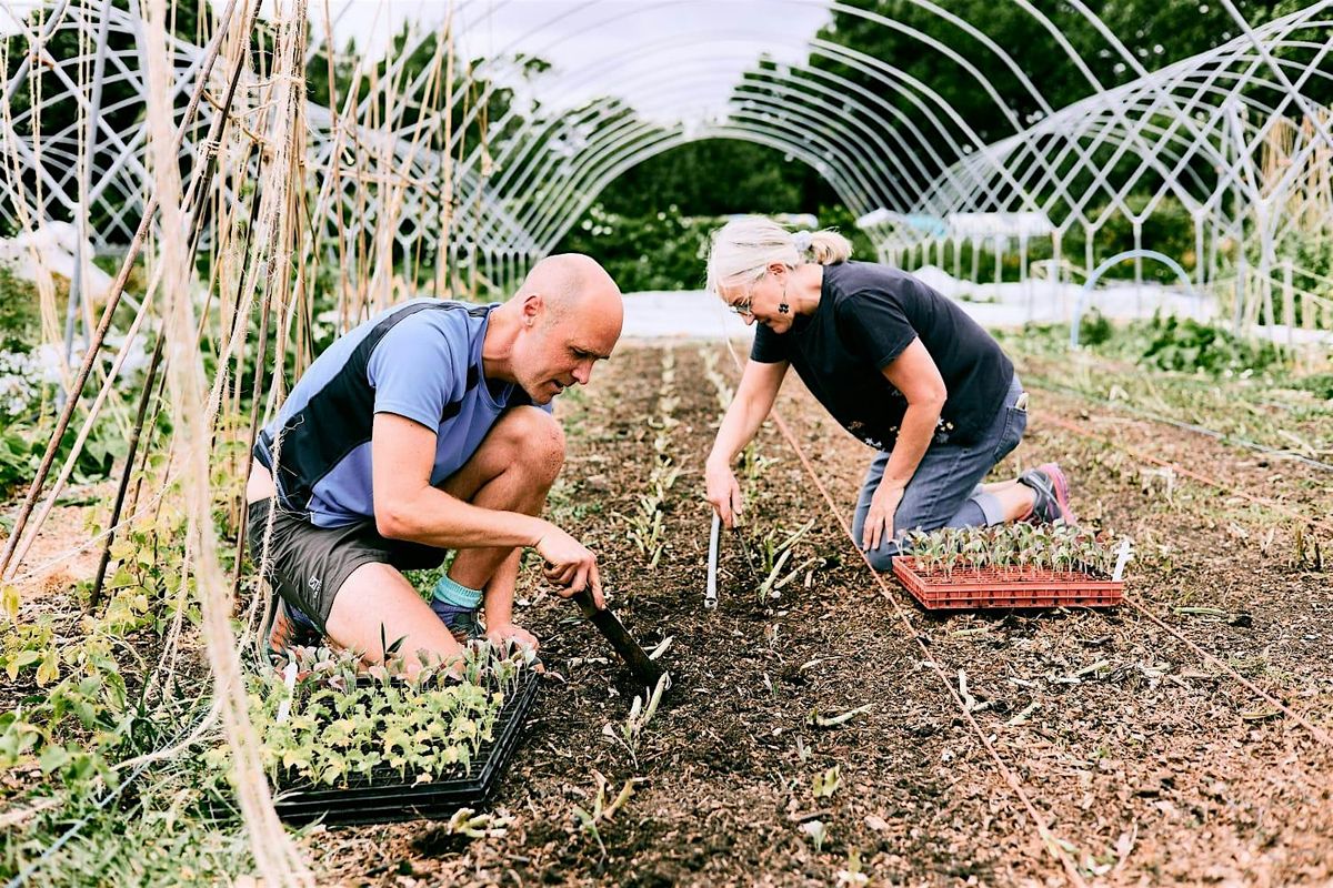 Saturday Volunteering Lush Greens \u2013 Community Farming & Orchard Management
