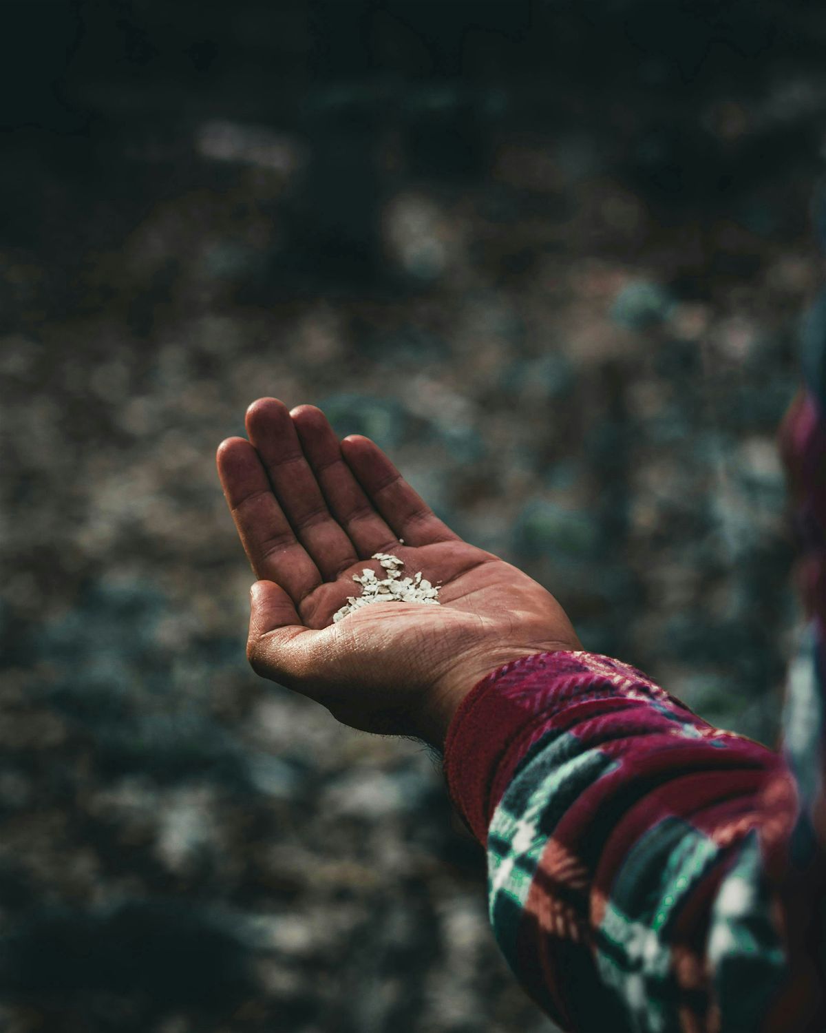 Poetry Together: Practicing Gratitude