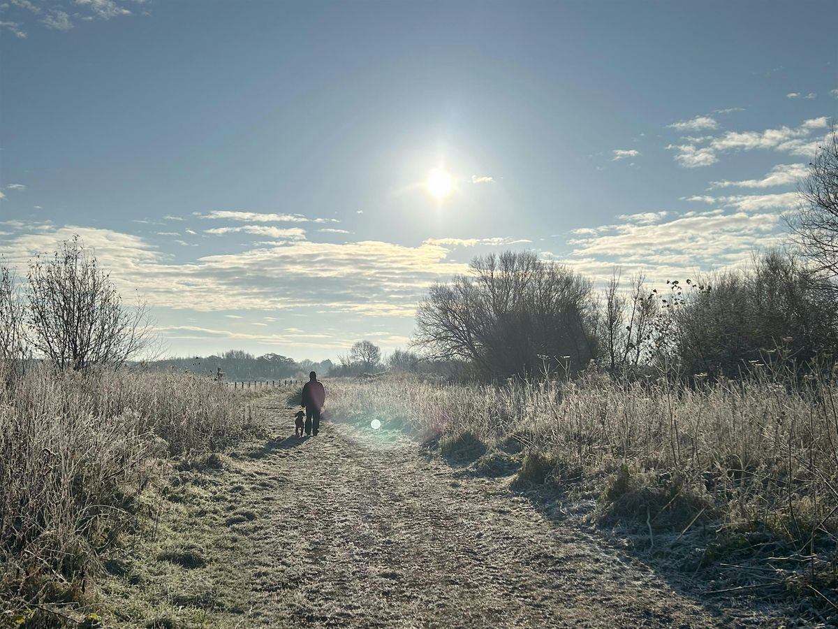 Winter Tree ID Wild Workshop