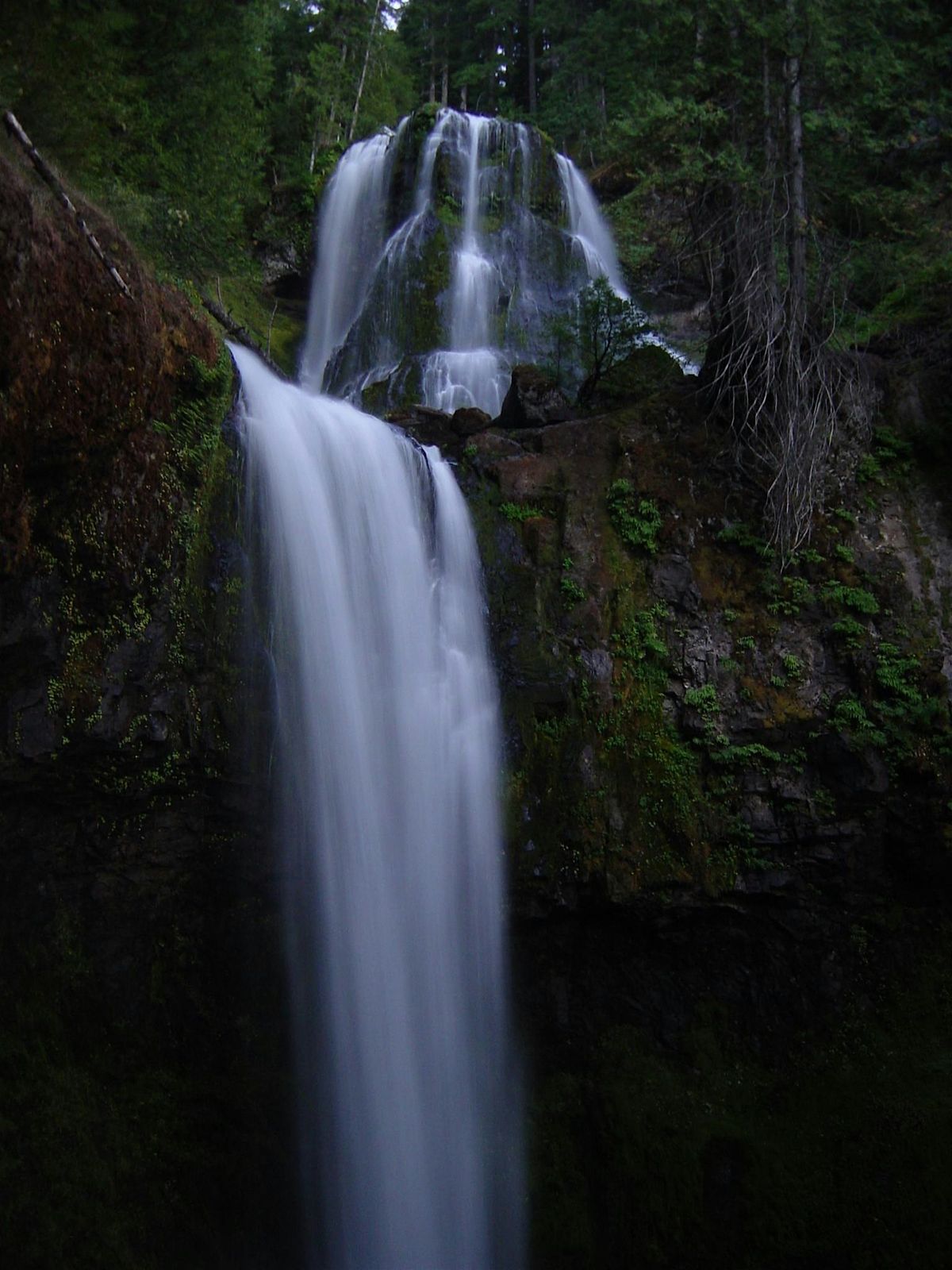 SFS PNW Chapter annual meeting