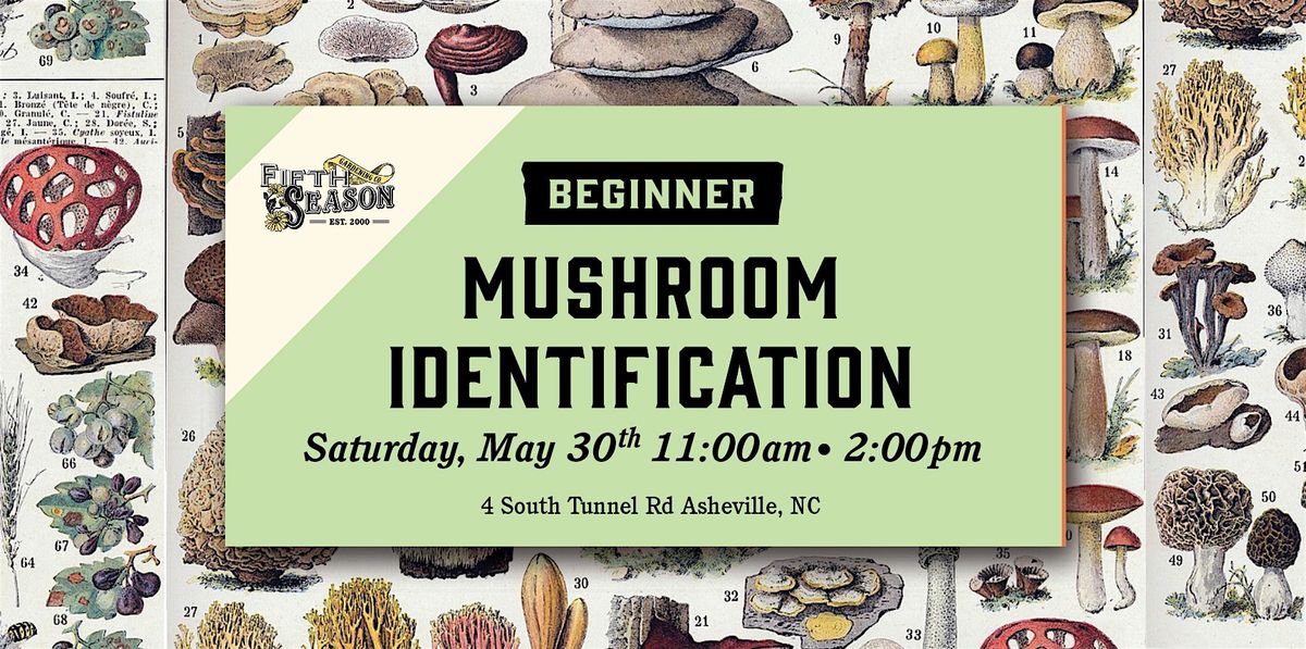 Beginner Mushroom Identification Class
