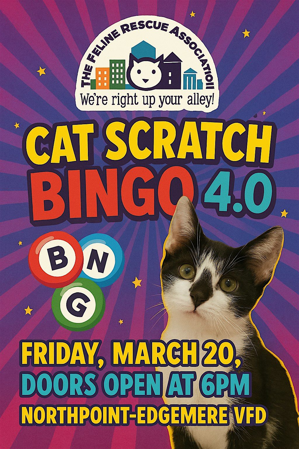 Cat Scratch Bingo 4.0