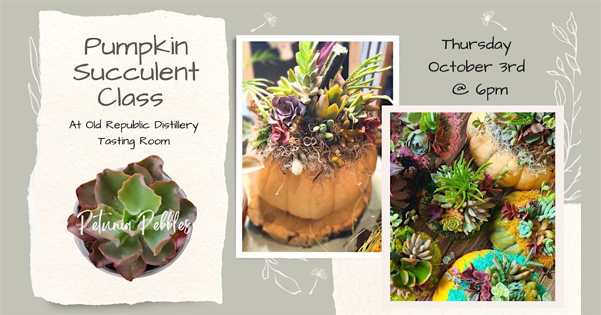 Pumpkin Succulent Workshop