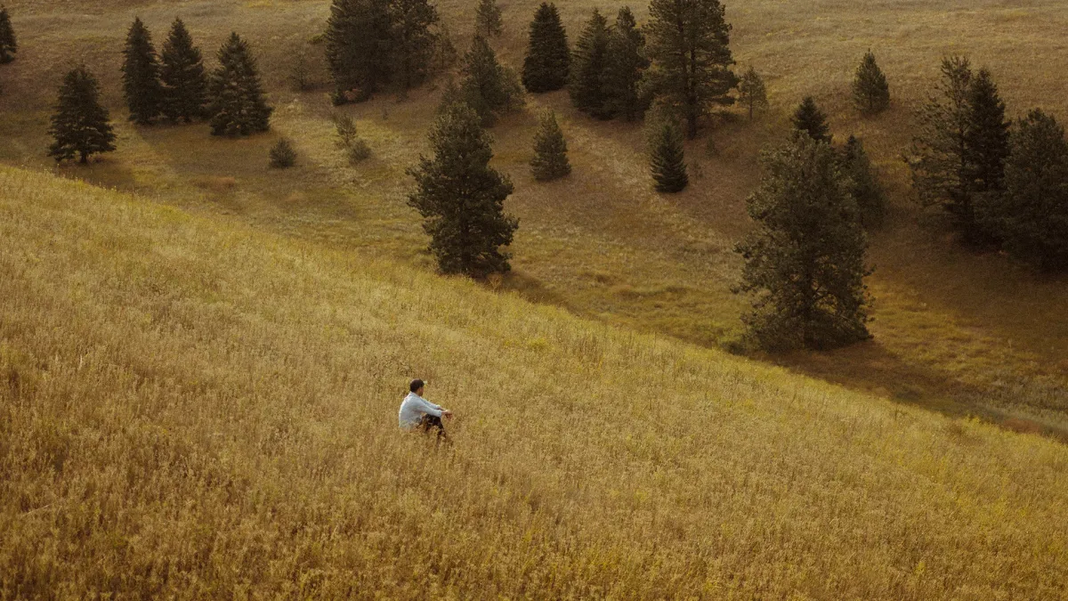 S. Carey in Evanston