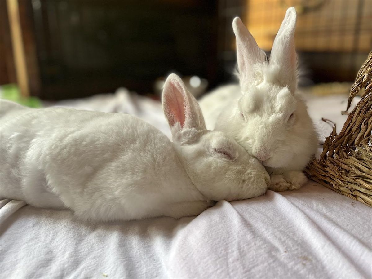 Western Mass Vegan Food Fest: January Edition