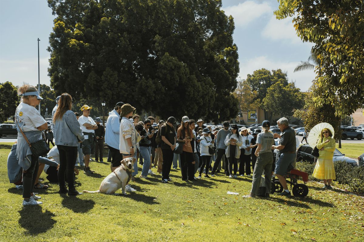 Tree Treks at Kate Sessions Park