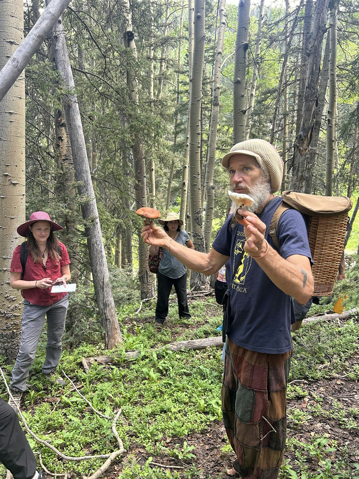 Foraging in Northern NM
