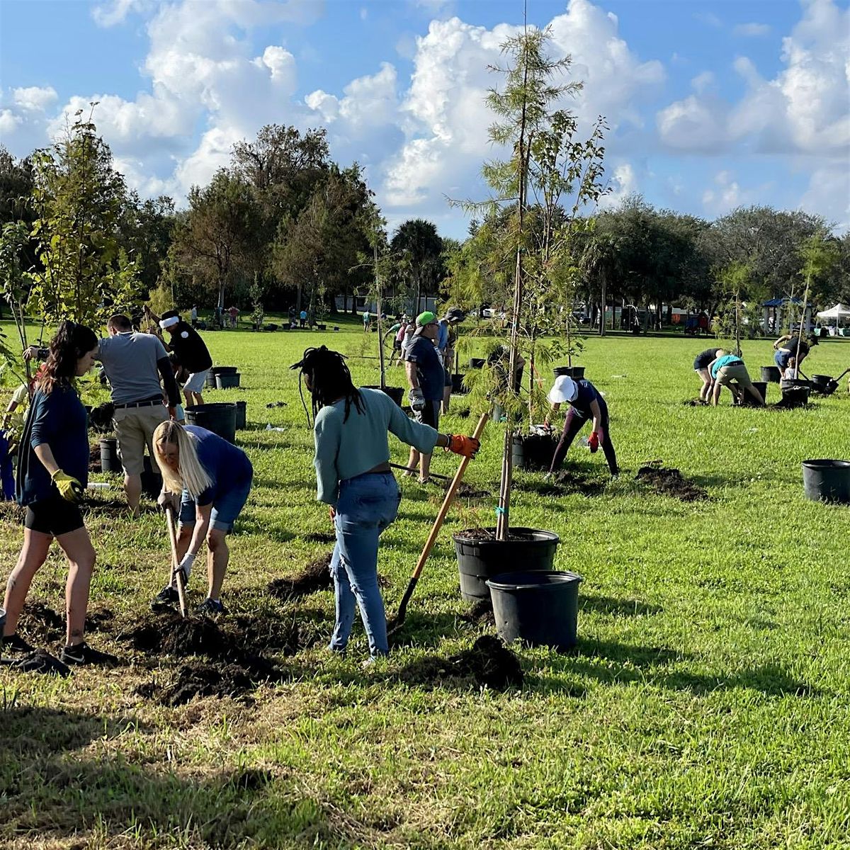 Dyer Park Tree Planting | Volunteers (1\/3\/26)