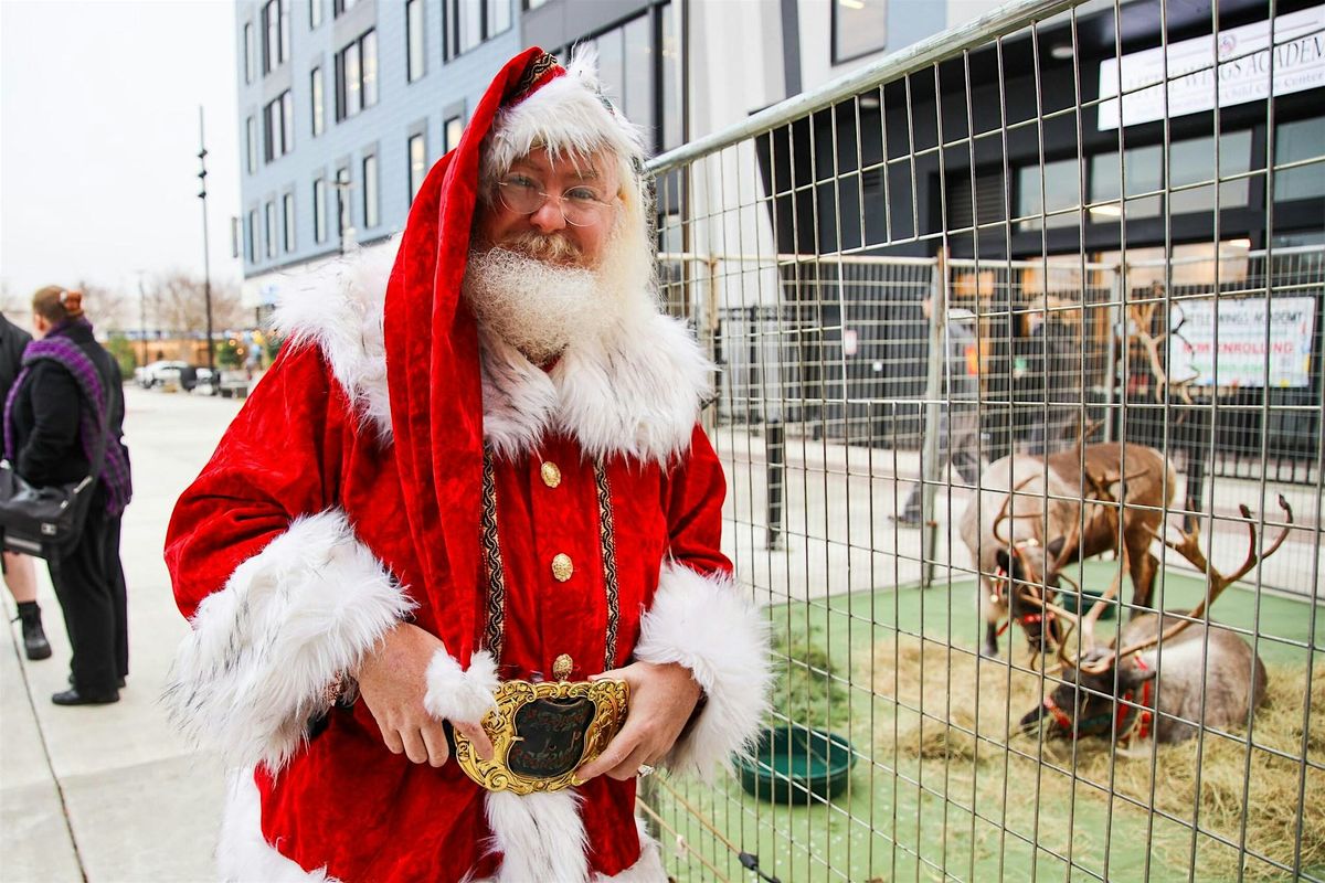 Reindeer in Rockwood