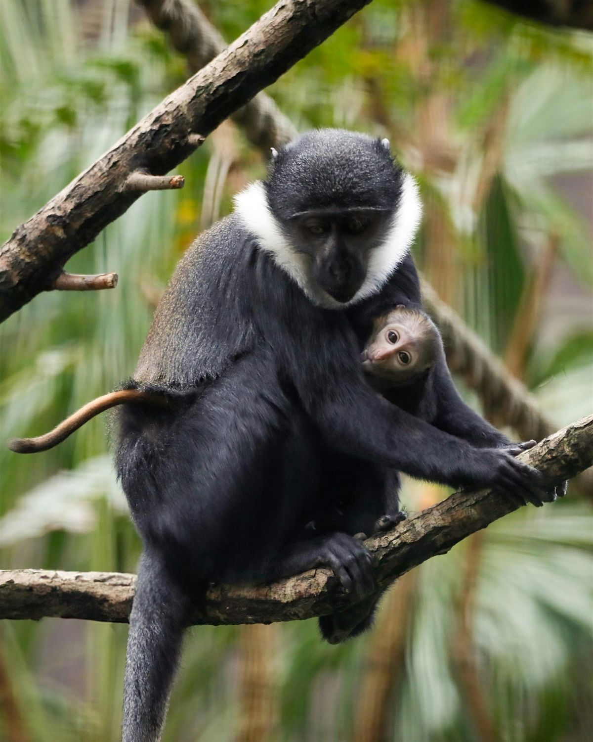 New Parent Social Friday Morning