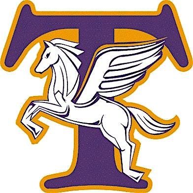 Troy High Class of 2015 Reunion