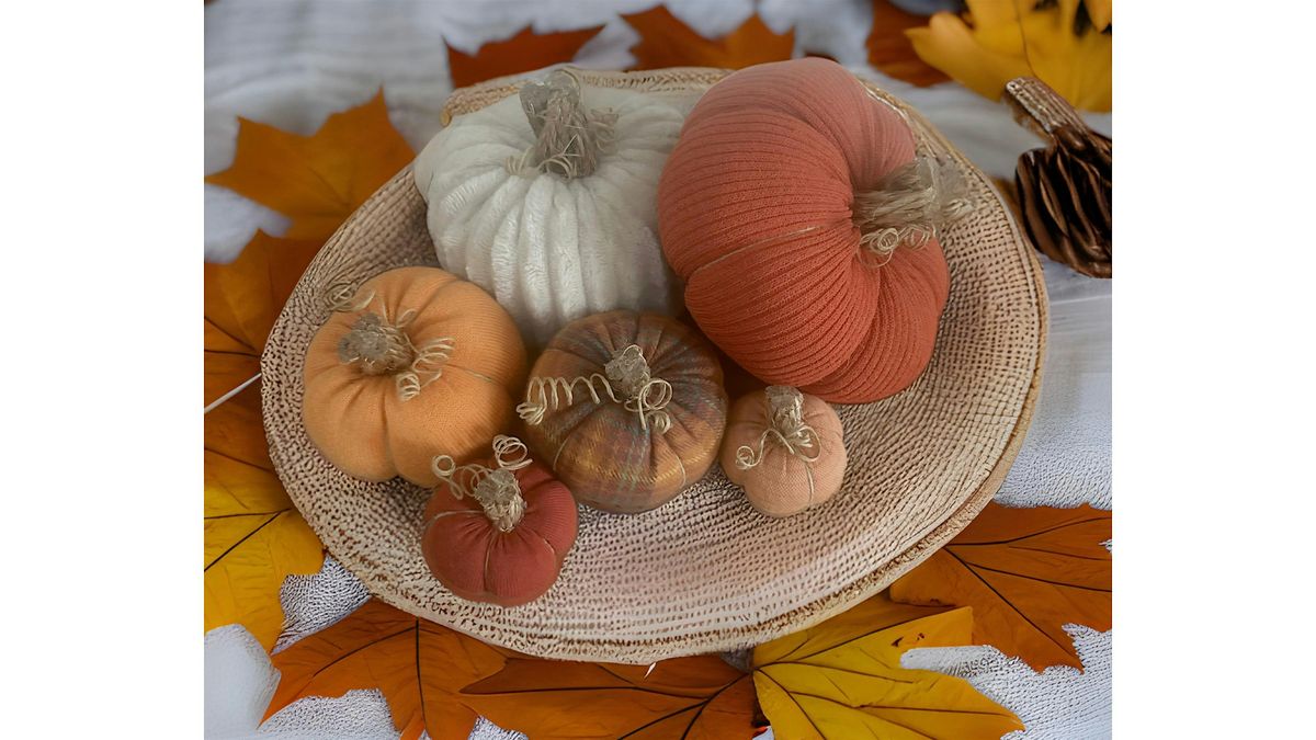 Create your own "Pumpkin Patch"