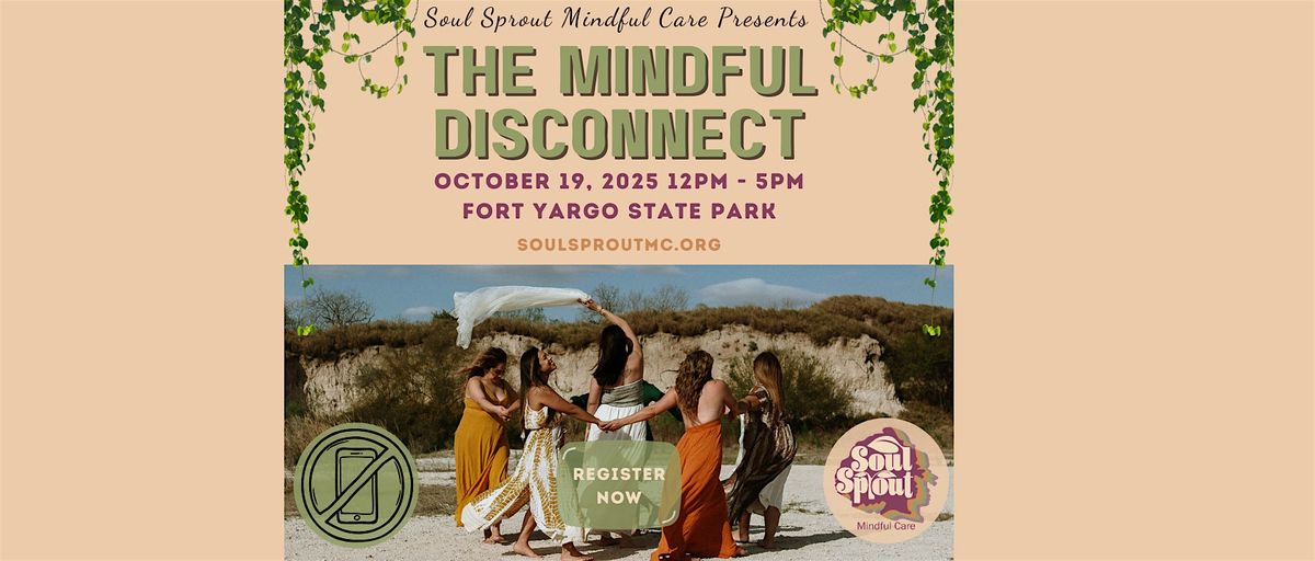 The Mindful Disconnect