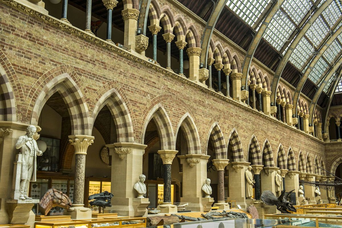 A Story in Stone: exploring the museum\u2019s geological story