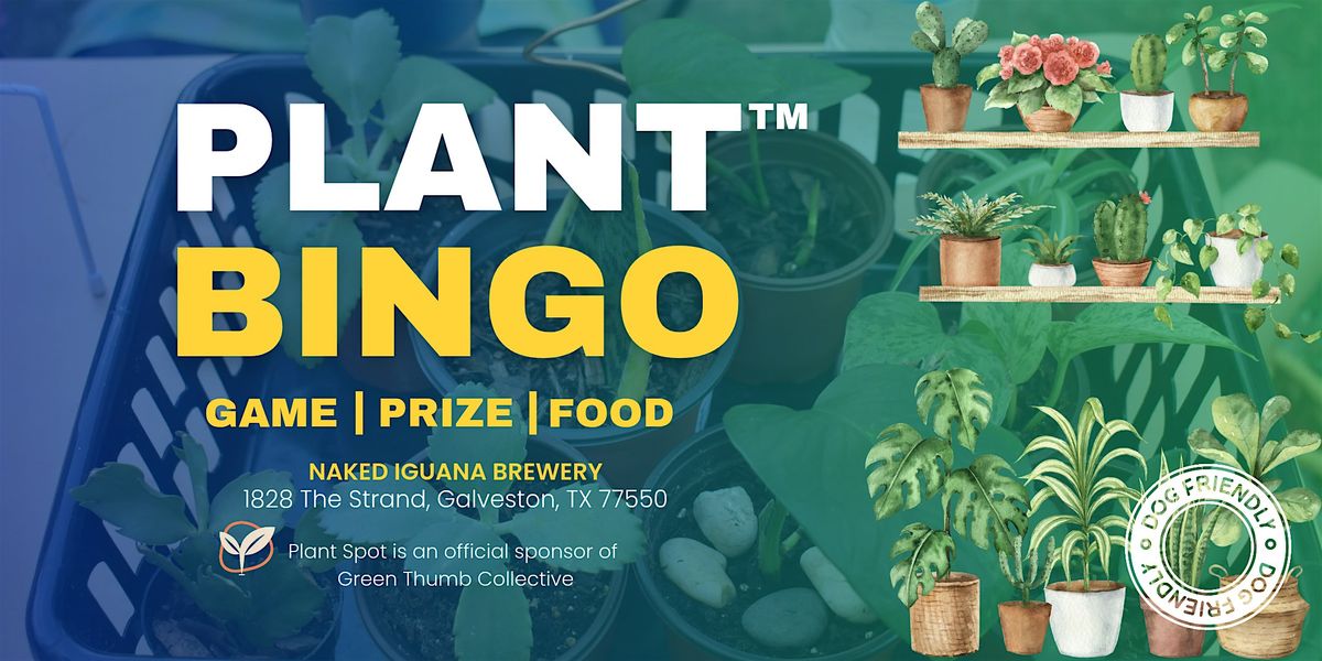 Plant Bingo Galveston - December Edition