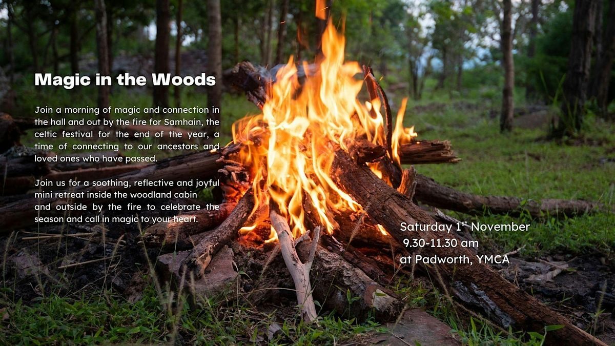 Samhain Morning Magic in the Woods