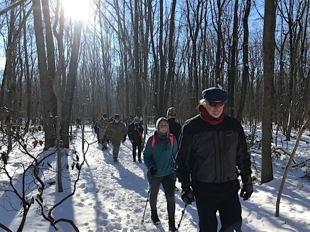 New Year Hike at High Family Nature Preserve