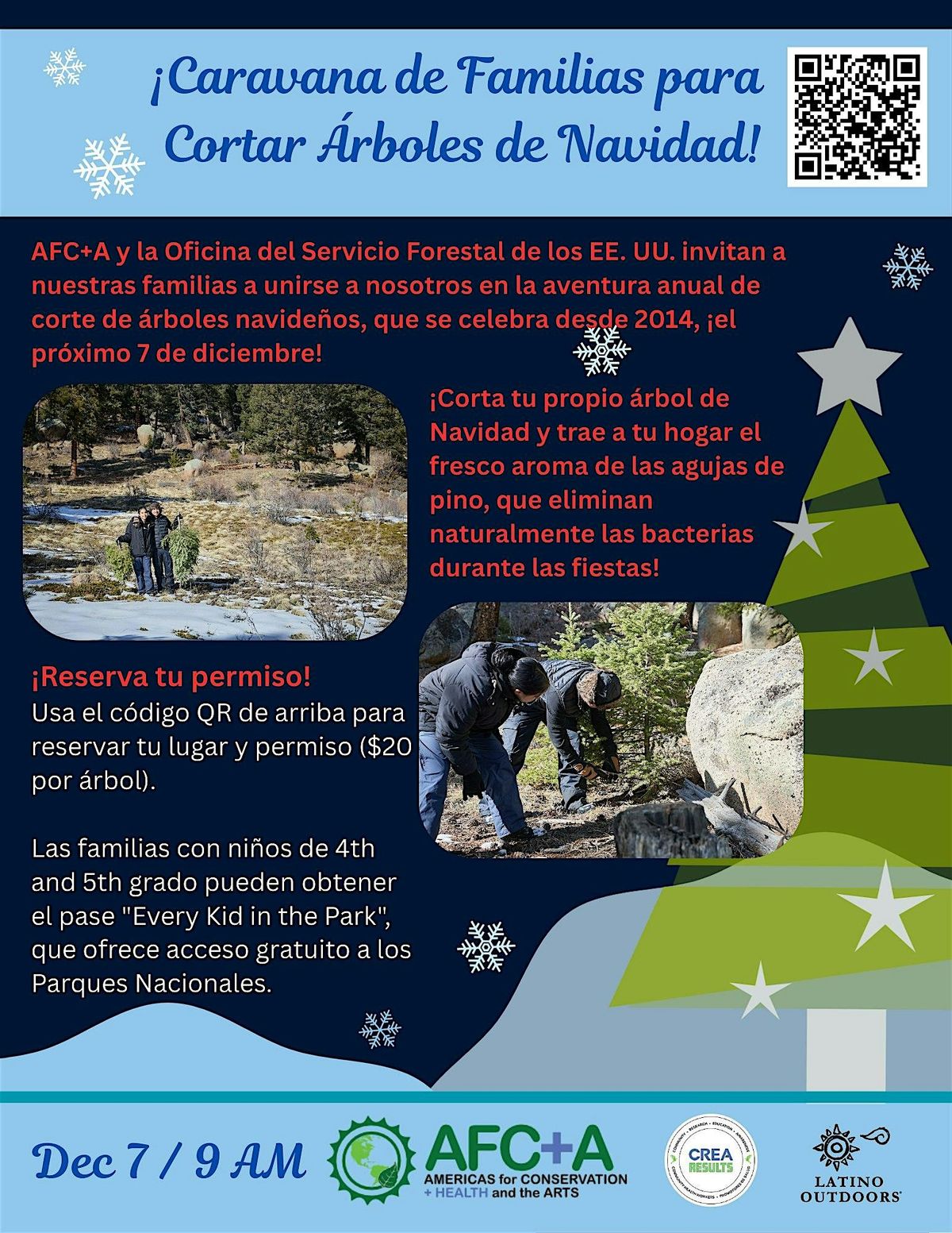 11th Caravana de Familias para Cortar \u00c1rboles de Navidad