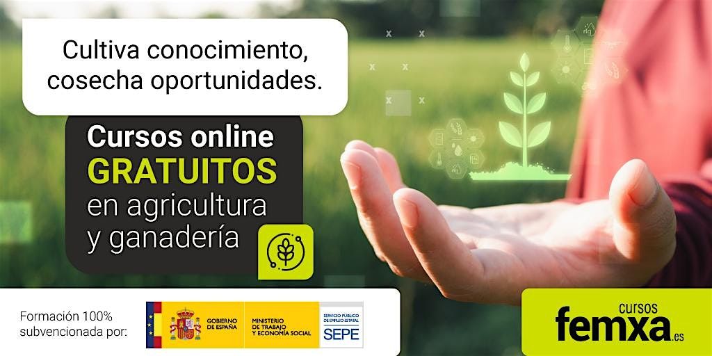 Curso GRATUITO: medios y productos para el control de plagas