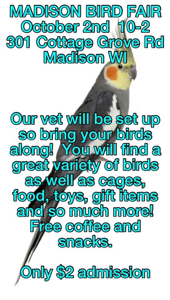 October Madison Bird Fair