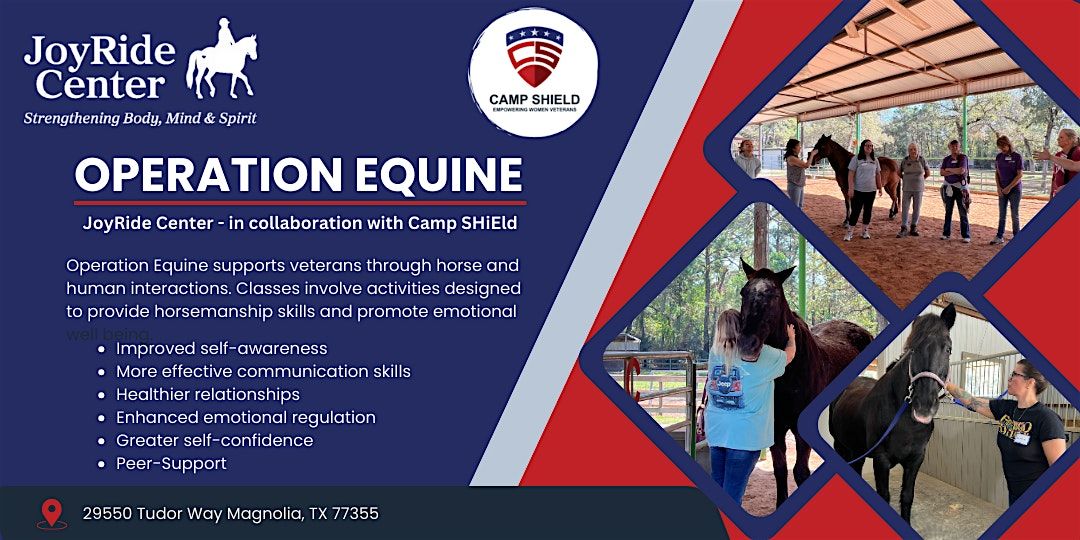 Operation Equine: JoyRide Center in collaboration with Camp SHiEld