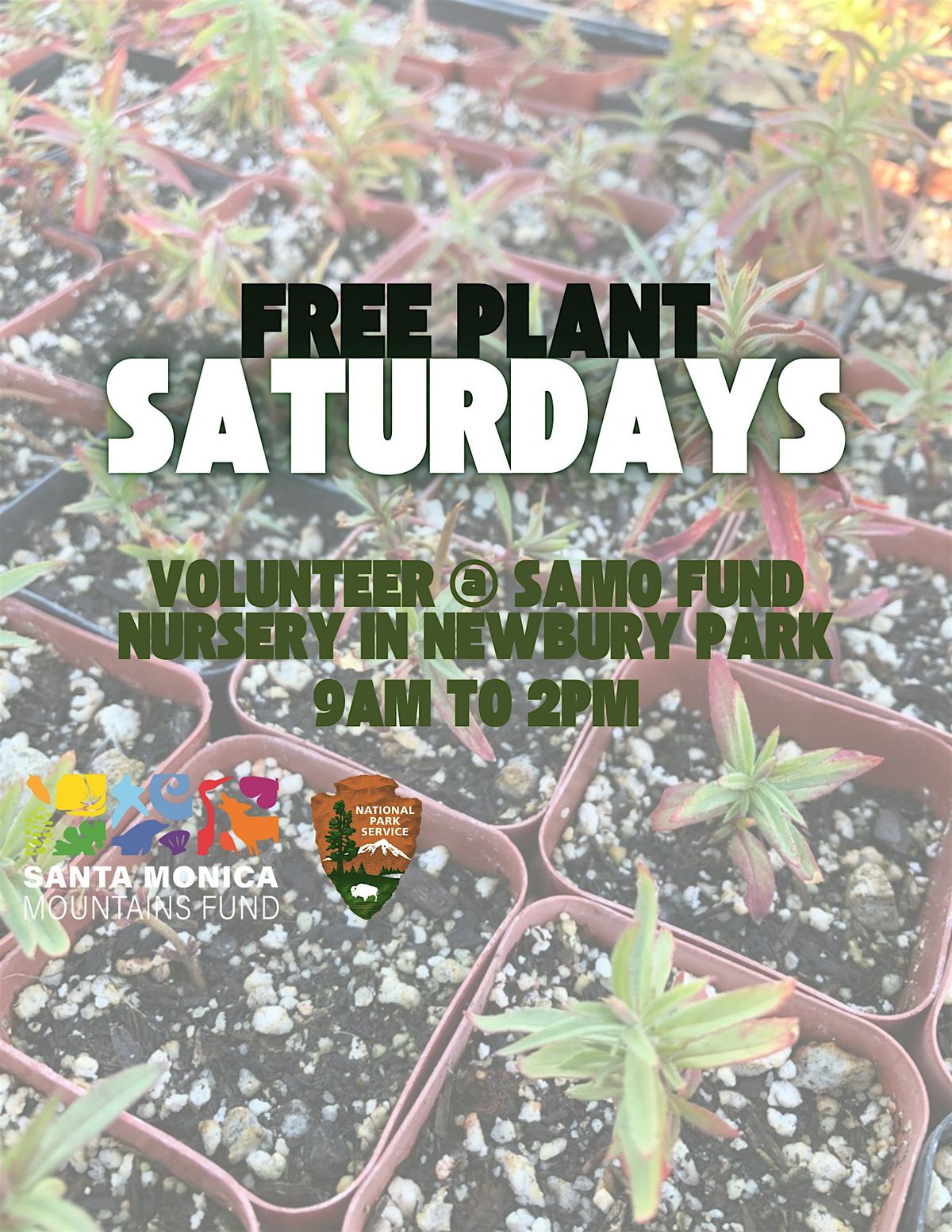 FREE PLANT SATURDAYS! - Native Plant Nursery Volunteering