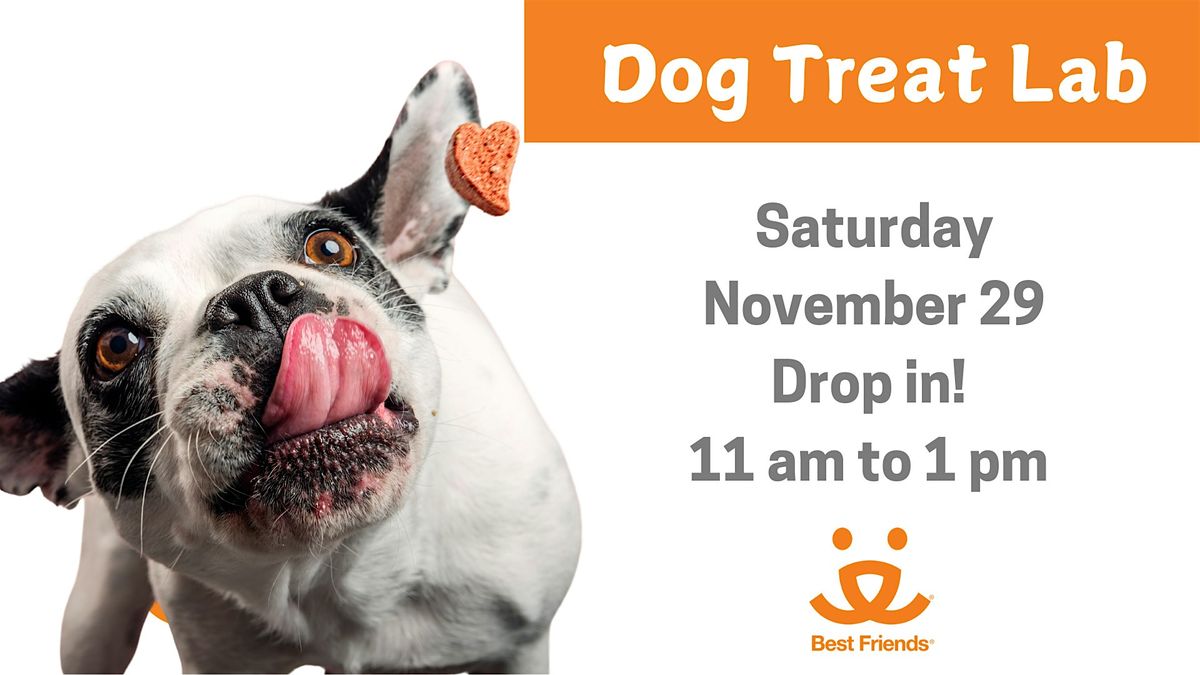 Dog Treat Lab