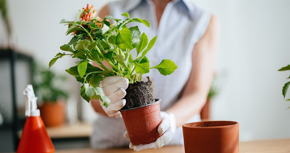 Class: Garden Workshop - Potted Plants