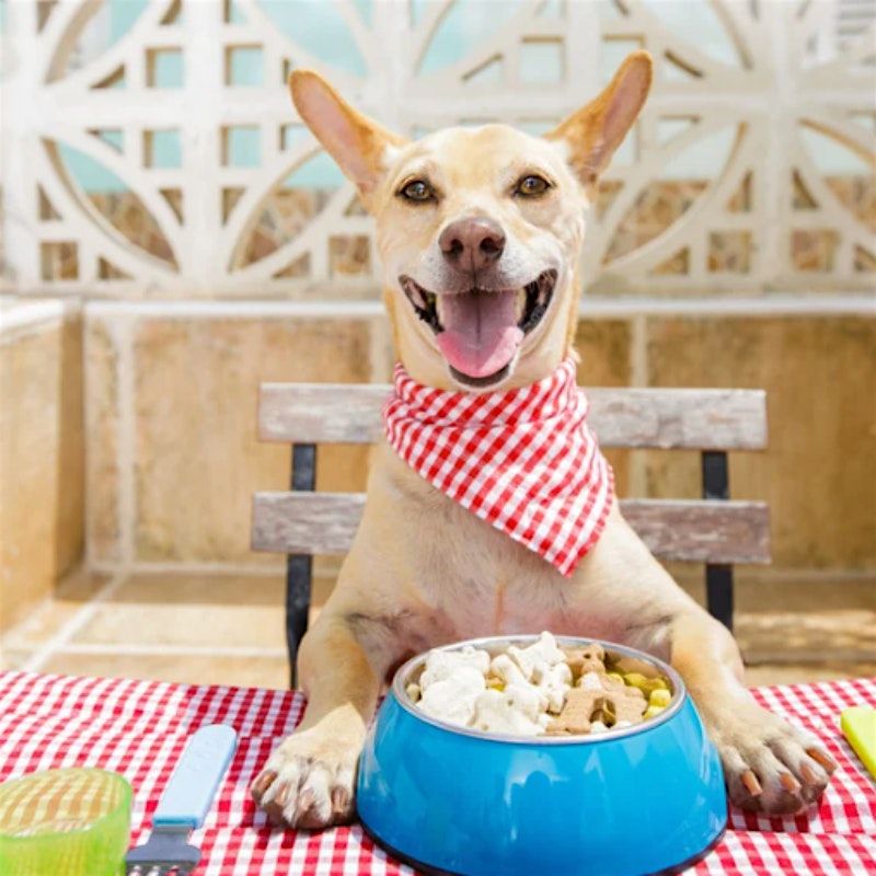 In-Person Class: Bake for Your Pup: Nutritious Dog Treats (NYC)
