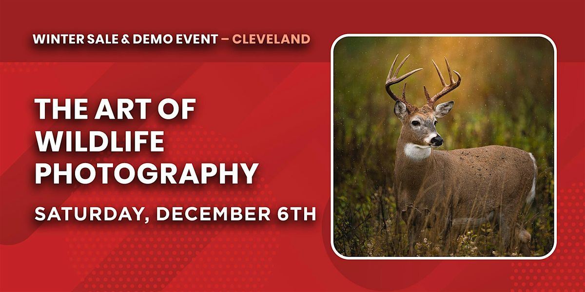 The Art of Wildlife Photography | Cleveland, OH