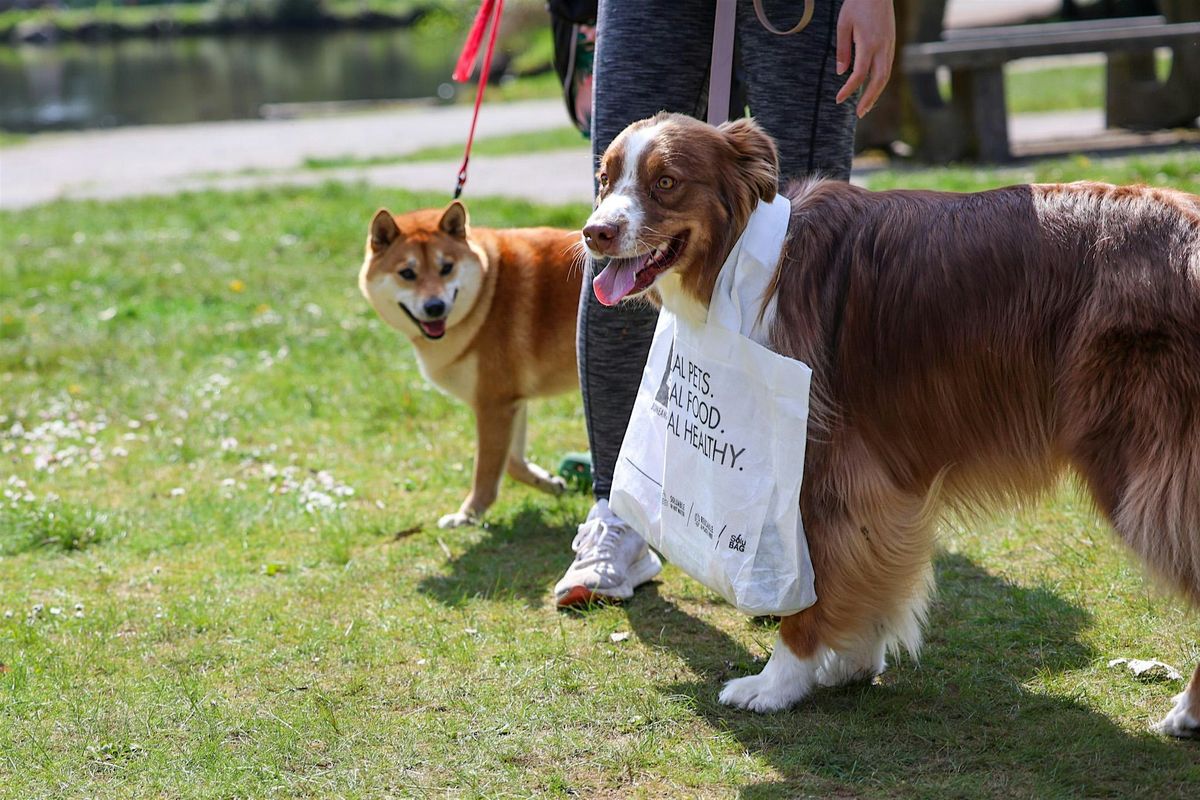 October Pack Walk