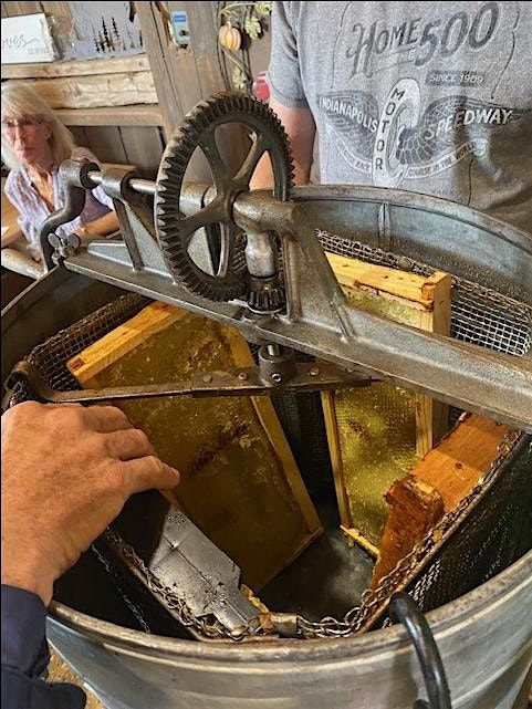 Honey harvest and luncheon