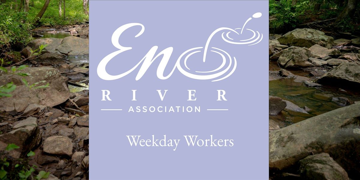 November 20 Weekday Workers