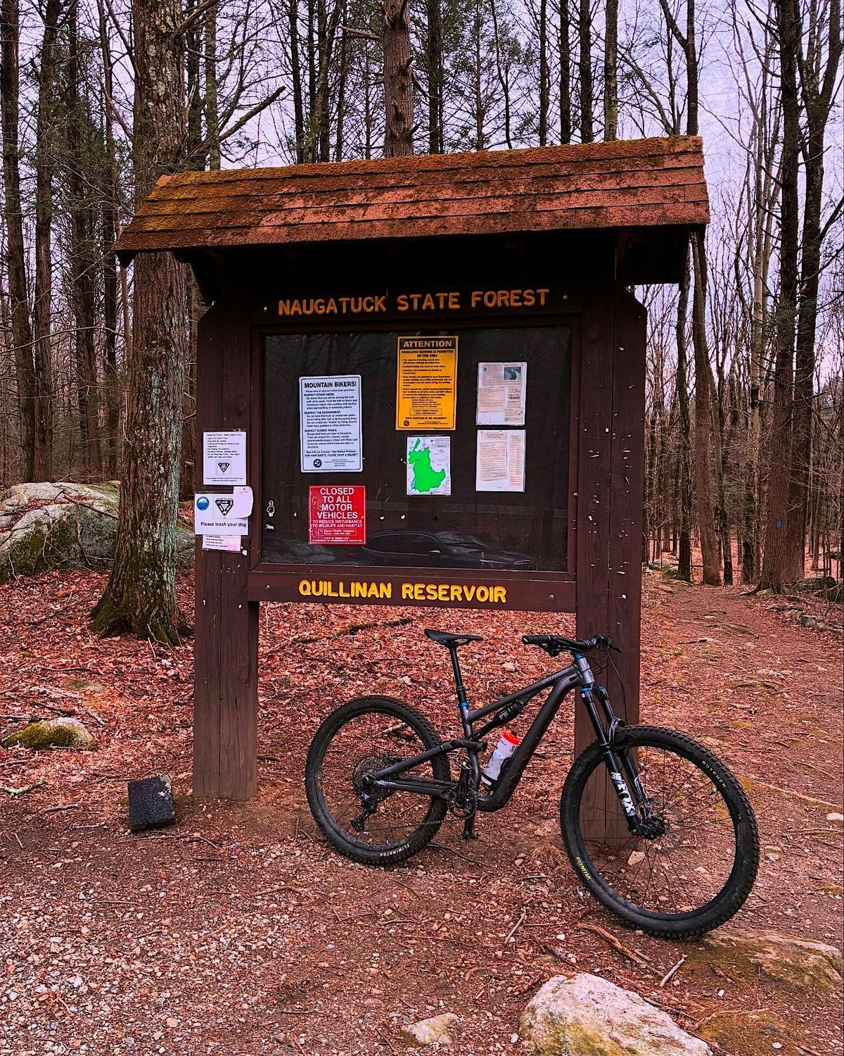 Monday Intermediate ride, Quillinan Reservoir